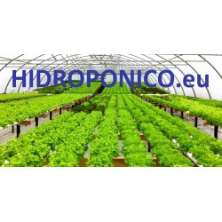 CULTIVO HIDROPONICO CON RECUPERACIÓN Y MEJORA